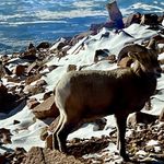 Nancy Raab - @happytapper24 - Instagram