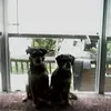 nancyraber - @nancyraber - TikTok