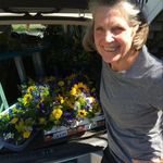 Nancy Rabinowitz - @wildhareflowers - Instagram