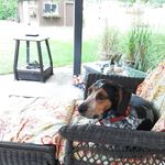 Nancy Racine-Sturtz - @racinesturtz - Instagram