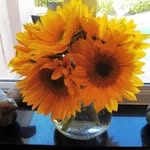 Nancy Jefferson Rackley - @rackleysrose - Instagram