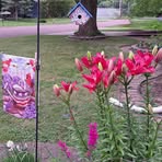 Nancy Wells Radcliffe - Facebook
