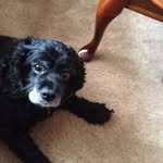 Nancy Radice - @tijem59720 - Instagram