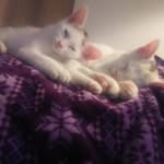 Nancy Radloff Delgado - @nancydelgado5110 - Instagram