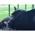 Nancy Porter-Radtke - @nancyradtke65 - Instagram