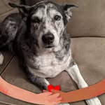 Nancy Schaefer Radtke - @nancyeradtke - Instagram