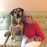 Nancy Rafuse - @rafusenancy - Instagram