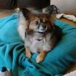 Nancy Ragan - @neragan - Instagram