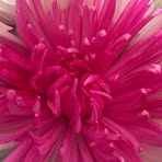 Nancy Rager - Facebook