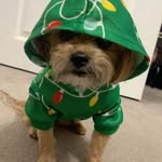 Nancy C Rago - @nancyrago_ - Instagram