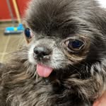 Nancy Michel - @rainbow_elves_nancy_michel - Instagram