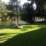 Nancy Raineri - @nancyraineri - Instagram