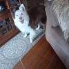 Nancy Rainey - @nancy.rainey4 - TikTok