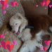 Nancy Rainey - Facebook