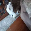Nancy Rainey - @nancy.rainey4 - TikTok