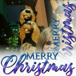 Nancy Raley - @nancy.raley.146 - Instagram