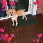 Nancy Ramey - @nanniebet58 - Instagram