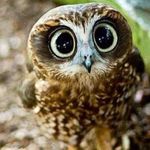 Nancy Rankin - @nancym1945 - Instagram