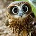 Nancy Rankin - Facebook