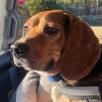Nancy Draper - @nancydraper144 - Instagram