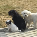 Nancy Rapson - Facebook