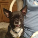 Nancy Rapson - Facebook