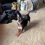 Nancy - @nancy_l_ratliff - Instagram