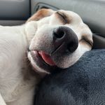Nancy Ratliff - @ncurratliff - Instagram