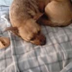 Nancy Ratliff - Facebook