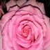 Nancy Ratliff - Facebook