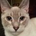 Nancy Ratliff - Facebook