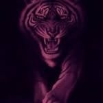 Nancy Ratzeburg - @ratzeburgnancy - Instagram