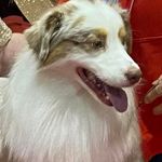 Nancy Rau Nisivoccia - @arteach07 - Instagram