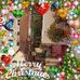 Nancy Rawlinson - Facebook
