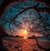 Nancyq Rayborn - Facebook