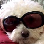 Nancy Rayl - Facebook