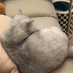 Zhang - @nancyrees12w0m - Instagram