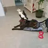 Nancy Read - @nancy.read1 - TikTok