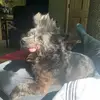 Nancyreads85 - @nancyreads85 - TikTok