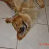 Nancy Reader - @nancy.reader - TikTok