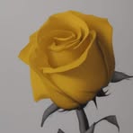 Nancy Reale - Facebook