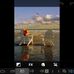 Nancy Reardon - Facebook