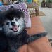 Nancy Reasoner - Facebook