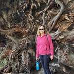 Nancy Rech - @nancyrech - Instagram