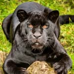 Nancy Record - @nancy.catterton.54 - Instagram