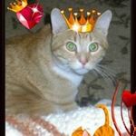Nancy Redmon - @nquiniones - Instagram