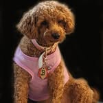Nancy Mazzeo Reeb - @nancy_mazz - Instagram