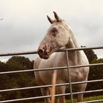 Nancy - @_nancyreece_ - Instagram