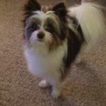 Nancy Reece - @nancyreece67 - Instagram