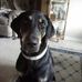 Nancy Reece - Facebook